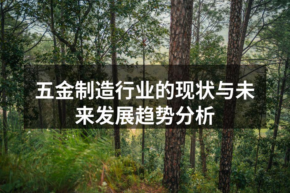 五金制造行业的现状与未来发展趋势分析